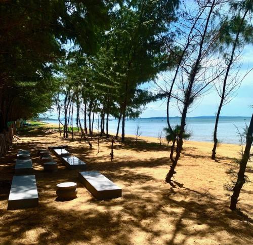 An Thinh Homestay - 주변 환경