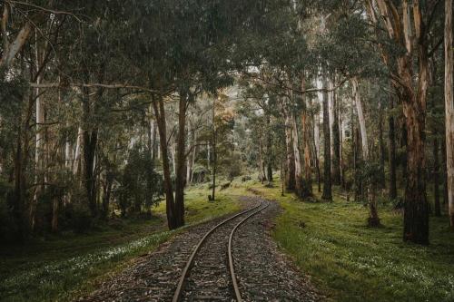 Luxury Treetop Escape with a Garden glasshouse
