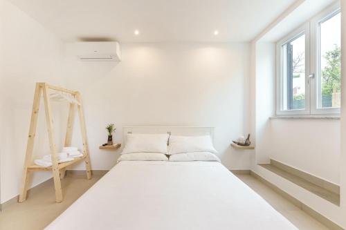 Il Poeta nella Vigna