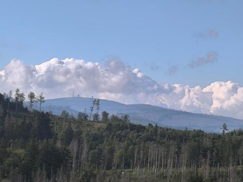 Waldperle Brockenblick im Panoramic Oberharz in Braunlage, Deutschland
