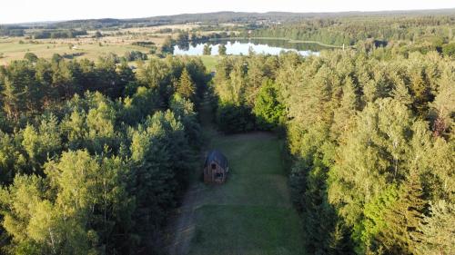 Viesnīcas āriene, Dom w lesie in Kuty