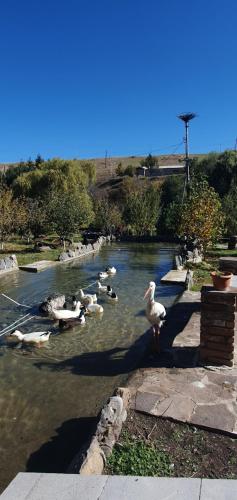 Hotel Riverside Inn - Akhalkalaki in Akhalkalaki