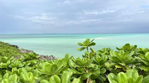 Beach, Kuukan guest house in Miyakojima
