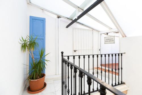 DescubreHome Santa Cruz Private Terrace with Giralda Views, Sevilla (Foto 9)
