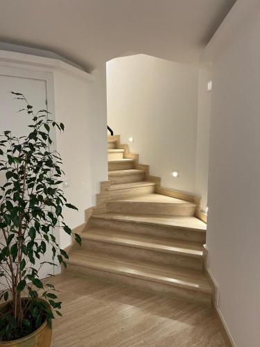 VACA - Vico Anna Carafa Apartments, Фонди (фото 4)