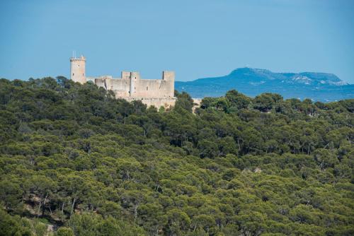 Can Rei Des Pla - image 14