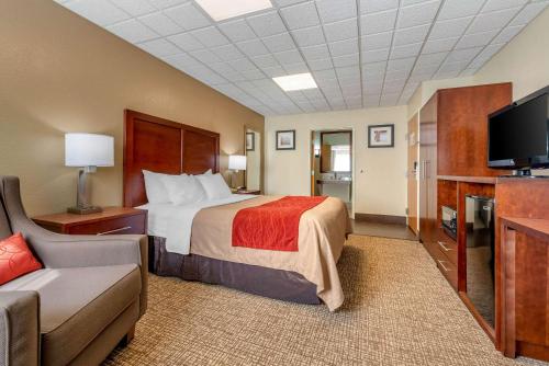 Comfort Inn Fremont - image 8
