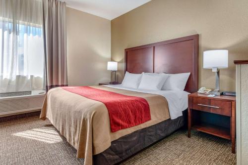 Comfort Inn Fremont Room Type - King Suite - Non-Smoking