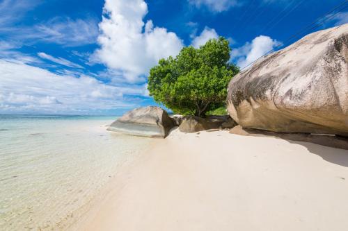 Dar & Douce Apartments Dar & Douce Apartments