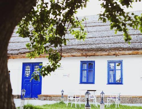 Pensiunea Casa Veche