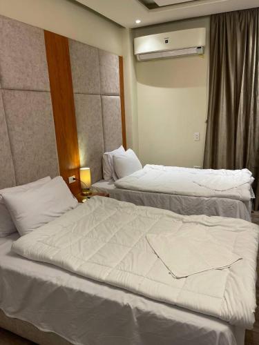 Solima pyramids - image 2