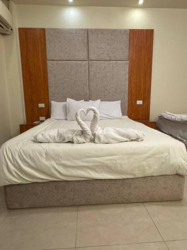 Solima pyramids - image 11