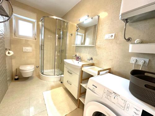 One-Bedroom Apartment image 5