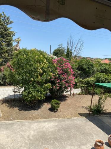 Yota's House Yota's House