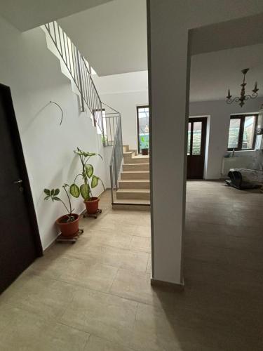 ทางเข้า, Alexander Residence in บราอิลา