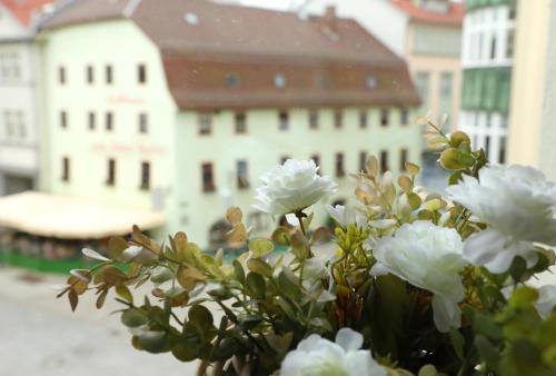 Neue Pension Stadtmitte Jena in Jena