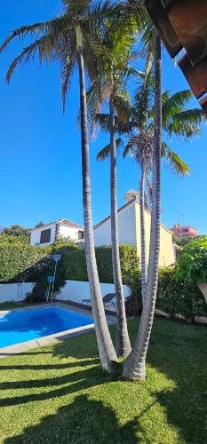 Villa la Paz in Puerto de la Cruz