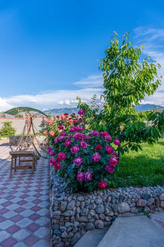 Dārzs, Guest house and yurt camp Svetlana in Bokonbayevo