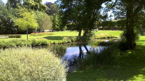 Surrounding environment, chambres et la table d'hotes a la campagne in Senonches