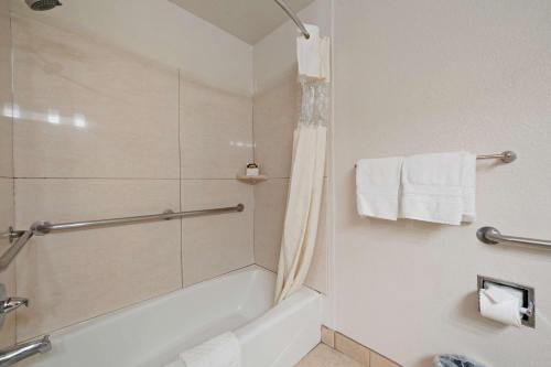 Best Western Plus Executive Inn & Suites - image 12
