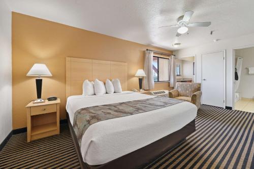 Best Western Plus Executive Inn & Suites - image 11