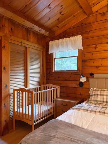 The Ducks Nest on Tuttle in Old Forge, USA