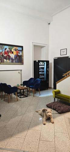 Hotel Villa Sophia, Kolín nad Rýnem (fotografie 7)