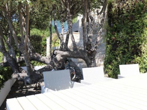 Villa image 3