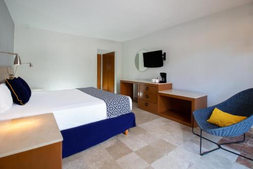 Plaza Pelicanos Club Beach Resort All Inclusive - image 5