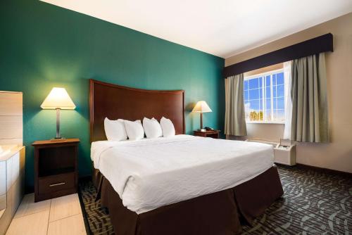 1 king bed