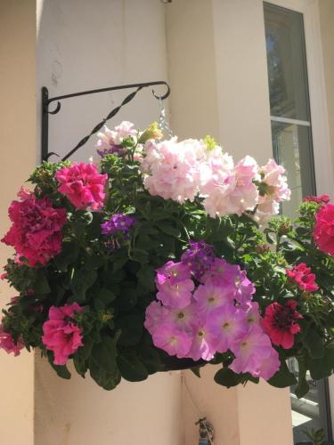 Fleurie House - image 6