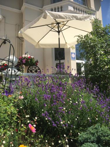 Fleurie House - image 3