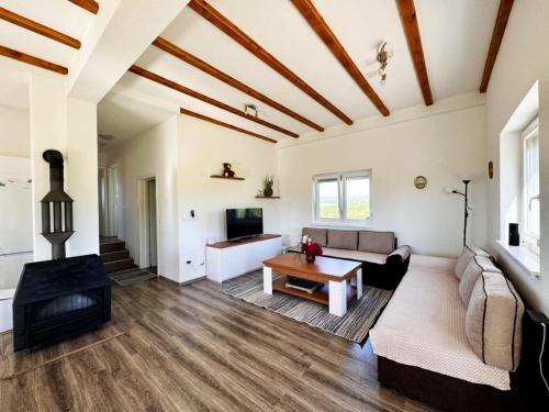 Koplietošanas atpūtas telpa ar TV, Vila Anamari in Livno