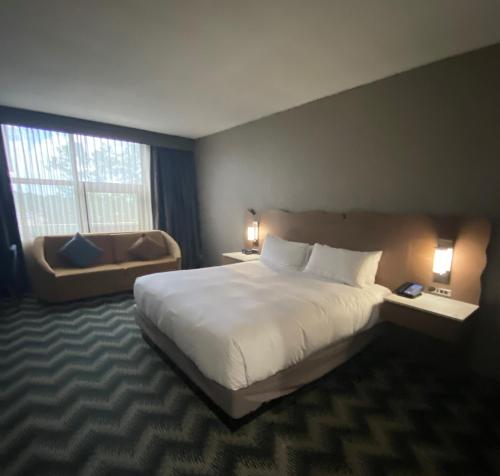 King Studio Suite with Sofa Bed image 4