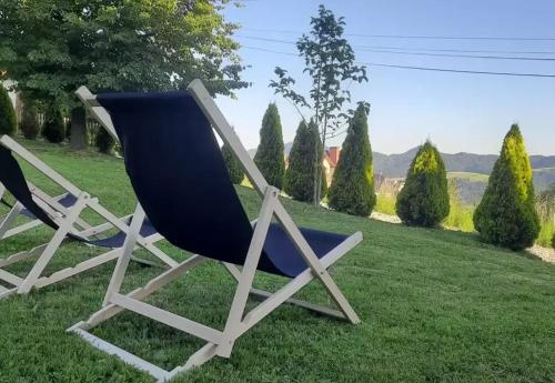Apartament na Wybraństwie