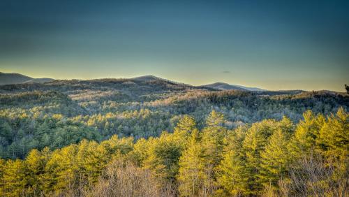 Whiskey Ridge in Cherry Log, USA