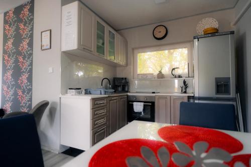 virtuve, Tiszatóhaus Apartman (Tiszatohaus Apartman) in Kiskore