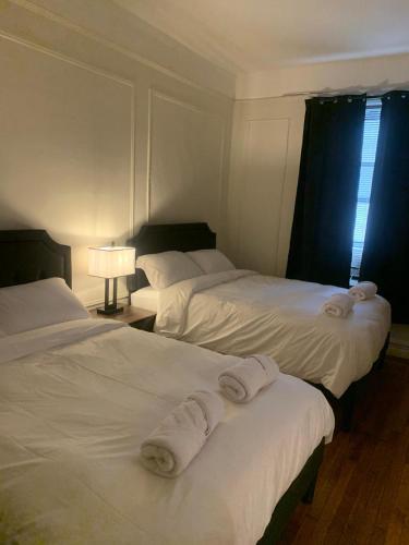 2 Bedroom apartment D5 in Brooklyn, USA