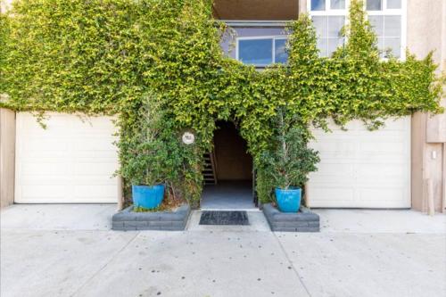Benjamin - Oceanview in Newport Beach, USA