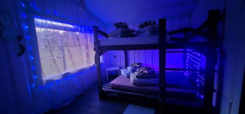 1 bunk bed