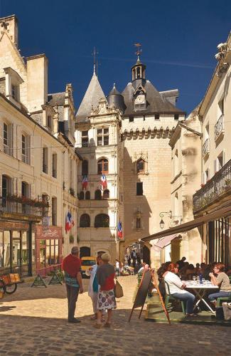 Gîte St Ours Loches hyper centre historique 4chambres 4salles de bains, salon cuisine (Gite St Ours Loches hyper centre historique 4chambres 4salles de bains, salon cuisine) in โลช