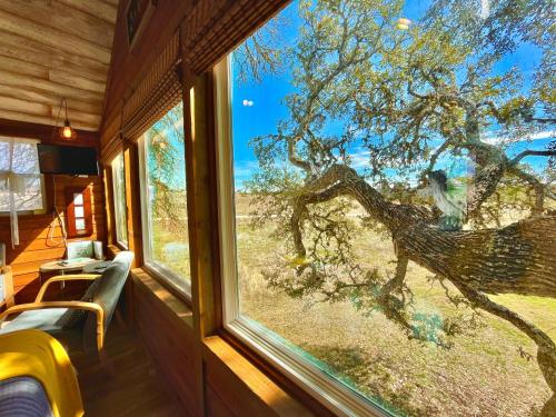 주변 환경, The Alexander at Creek Road Event Venue and Hotel in 드리핑 스프링 (TX)