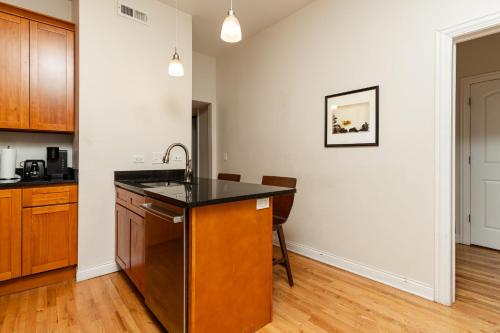 Wicker Park 2BR Modern Apartment DV3 in Wicker Park