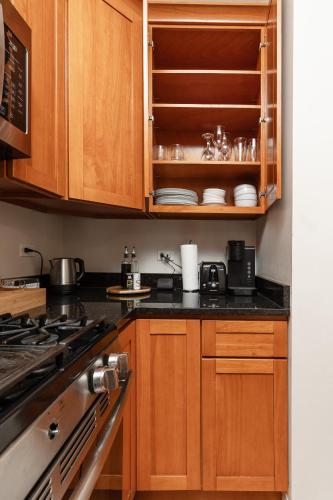 Wicker Park 2BR Modern Apartment DV3 in Wicker Park