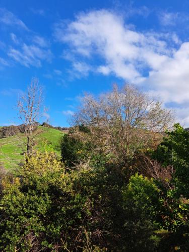 สภาพแวดล้อมโดยรอบ, Brookvale House Balingup in บาลิงอัป