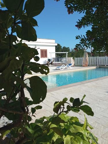Vale & Frans – Monopoli, LA