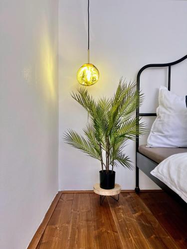 WOW MiniLoft, near Wenceslas Square, city centre, fast wifi, Prague (photo 9)