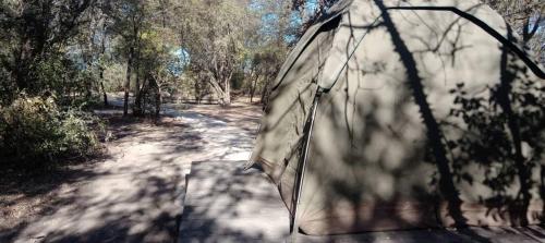 Hyenas howl campsite in Muchenje
