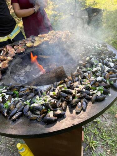 Le Logis Des Juliats Le Logis Des Juliats