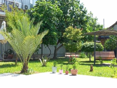 Guest House Kobuleti in Kobuleti